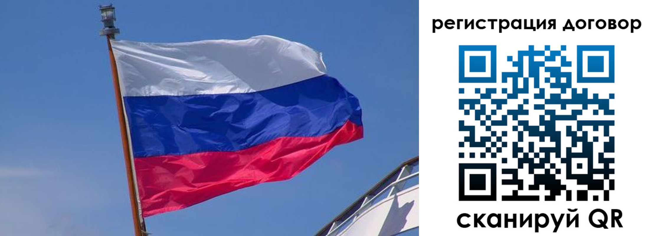 прописка поиск в Брянске